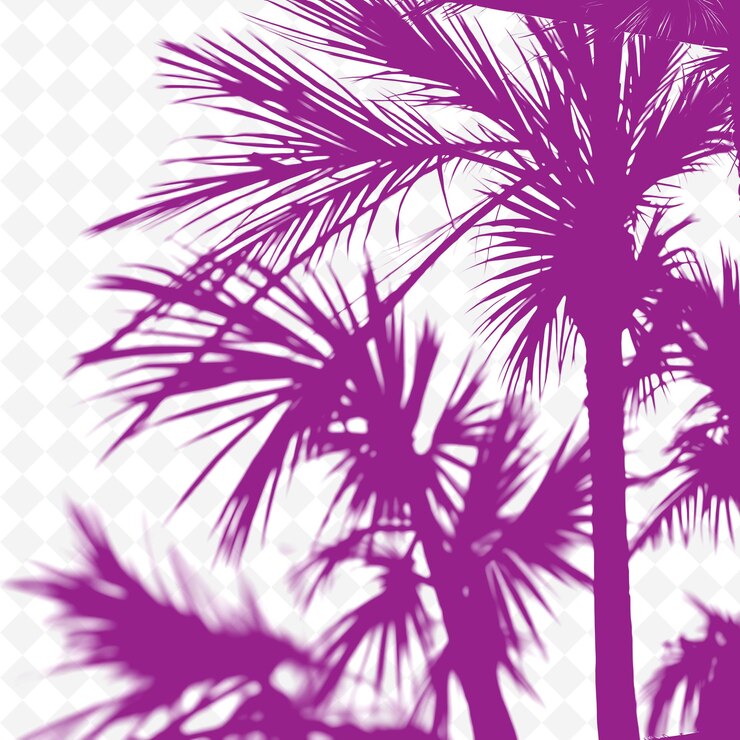 PSD palm tree shadows casting large fan like shapes broad sweeping png shadow cast illustrationsl (sombras de palmeiras em png)