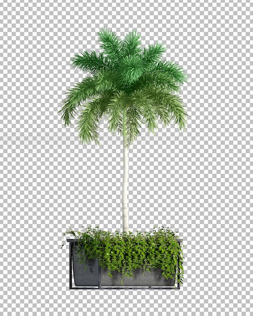 Palma isolata nel rendering 3d