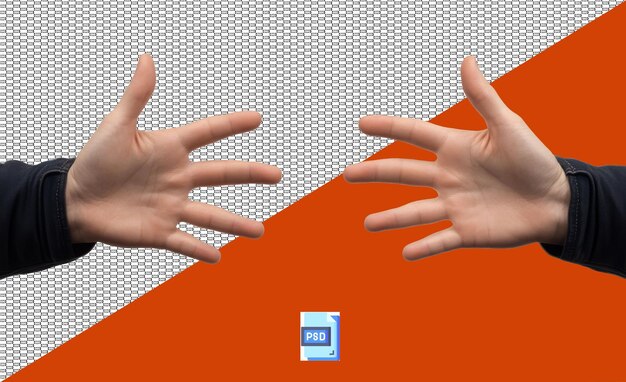 Palma de la mano izquierda y derecha de un hombre Fondo transparente