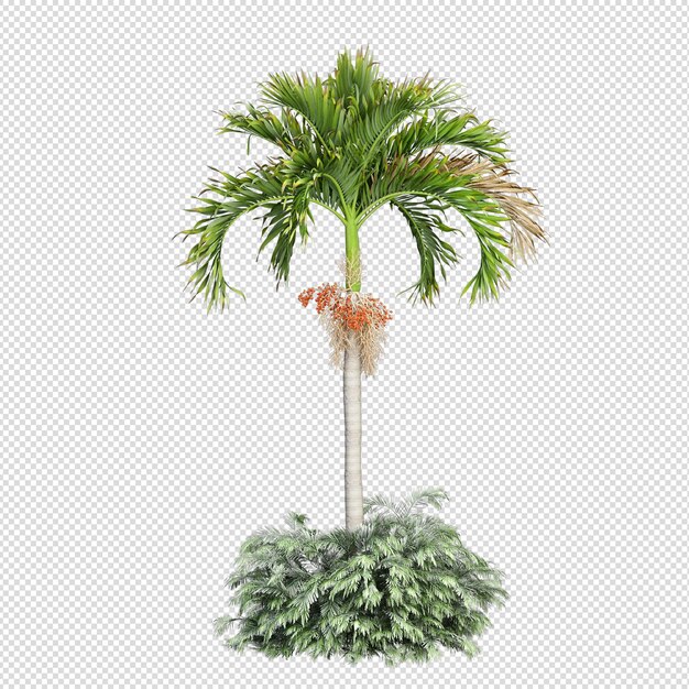 Palme in 3D-Rendering isoliert