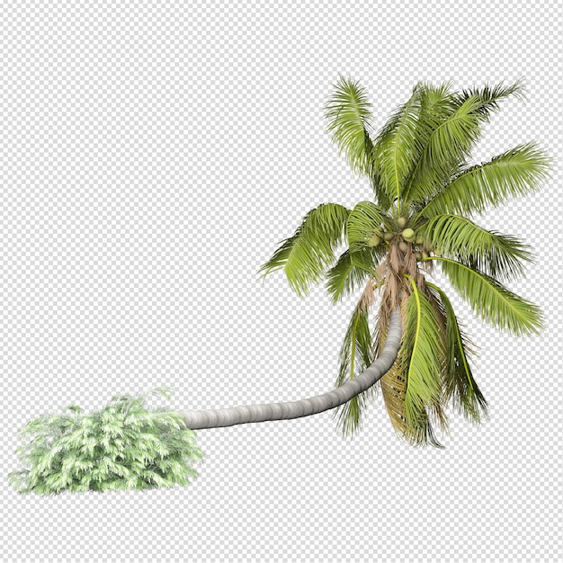 Palme in 3D-Rendering isoliert