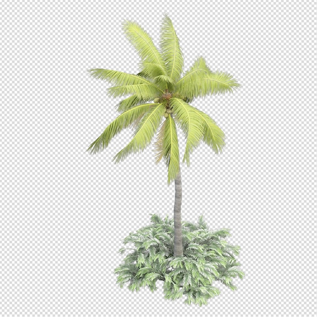 Palme in 3D-Rendering isoliert