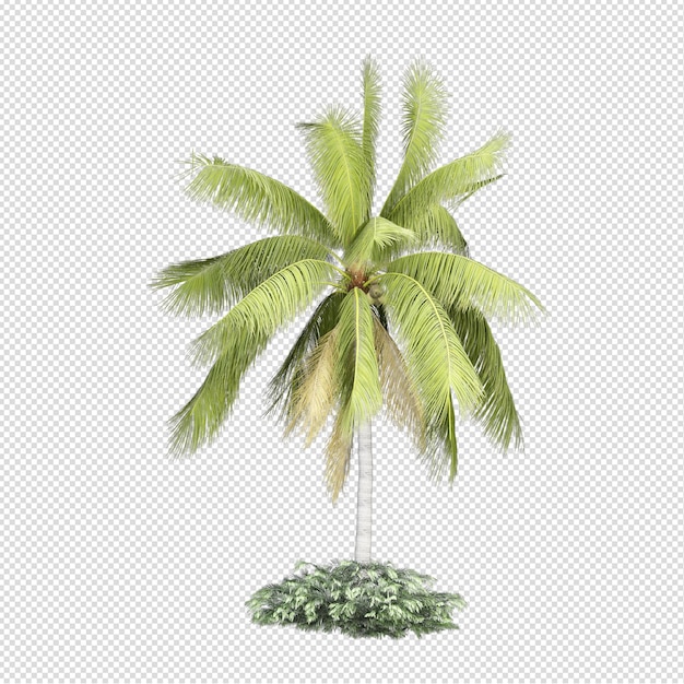 Palme in 3D-Rendering isoliert