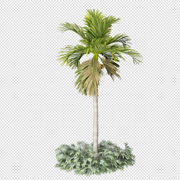Palme in 3D-Rendering isoliert