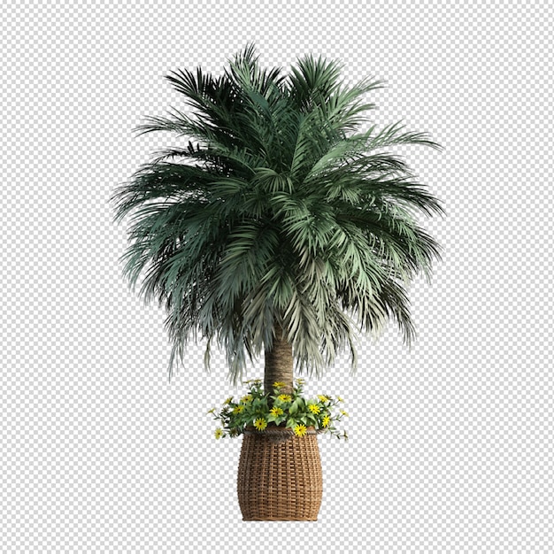 Palme in 3D-Rendering isoliert
