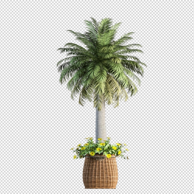 Palme in 3D-Rendering isoliert