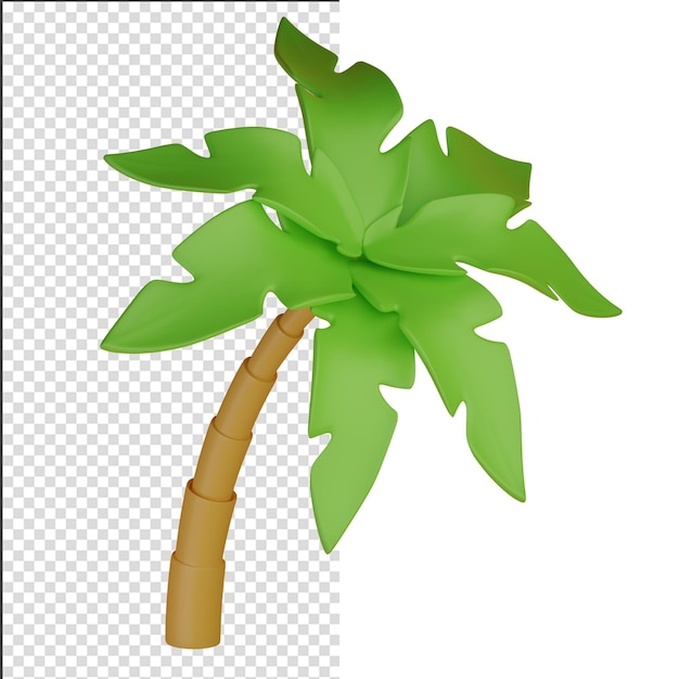 Palme isoliert auf weißem Hintergrund 3D-Rendering
