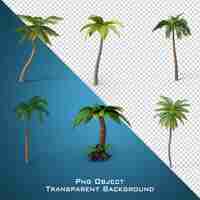 PSD palmeira 3d