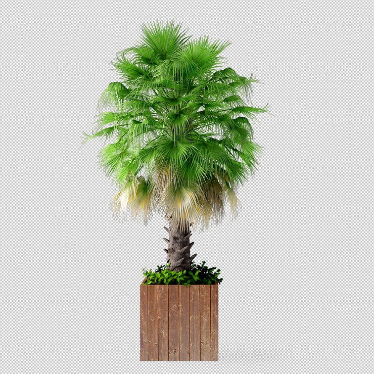 Palmeira em pote em renderização em 3d