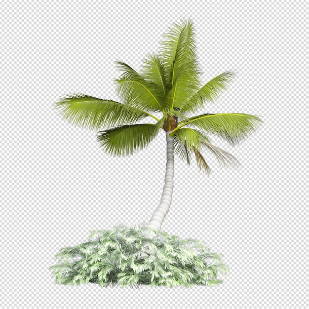 PSD palmeira em renderização 3d isolada
