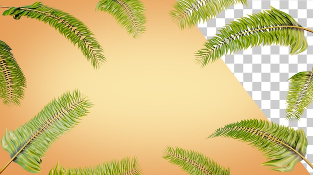 Palmenblätter 3d-Rendering Palmenzweig Tropischer Hintergrundrahmen