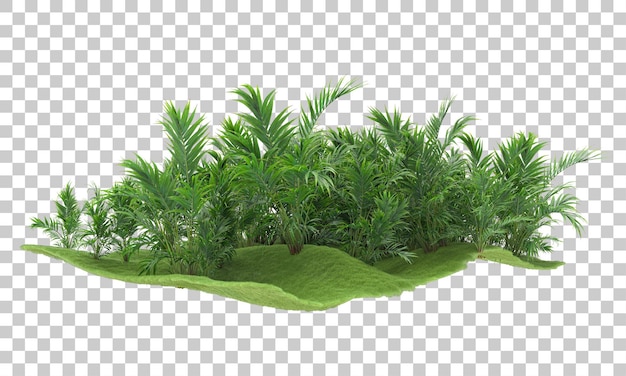 Palmenwald auf transparentem hintergrund 3d-darstellung