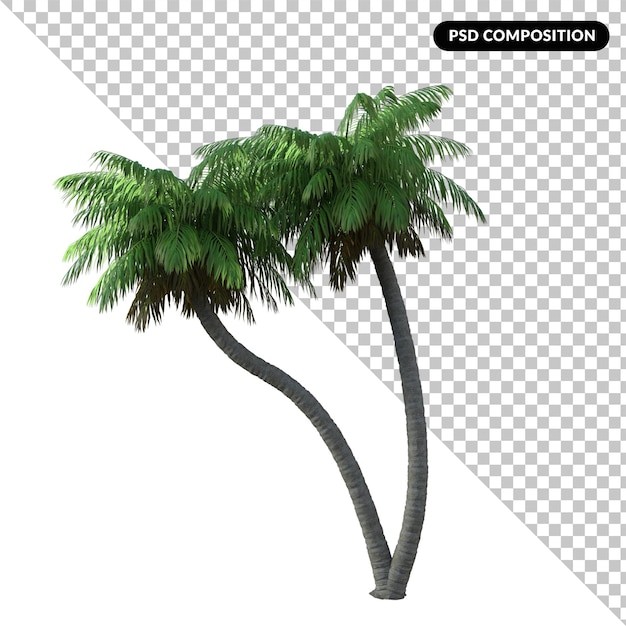 Palmera aislada 3d