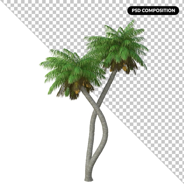 PSD palmera aislada 3d