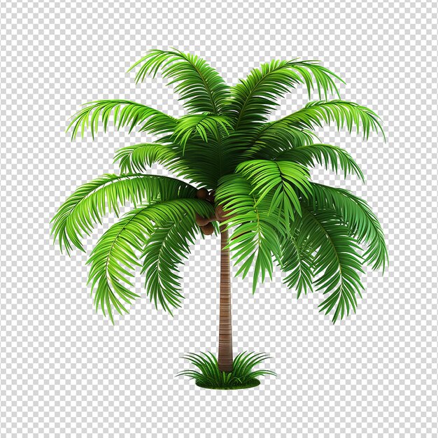 PSD palmera aislada en un fondo transparente png