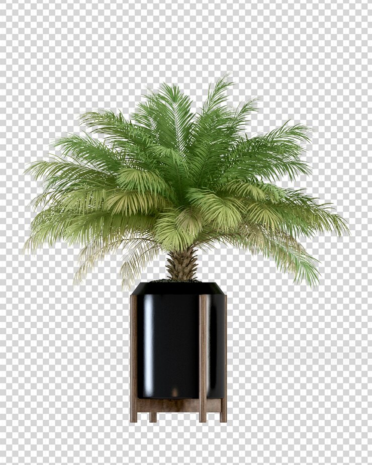 Palmera aislada en maceta en renderizado 3d