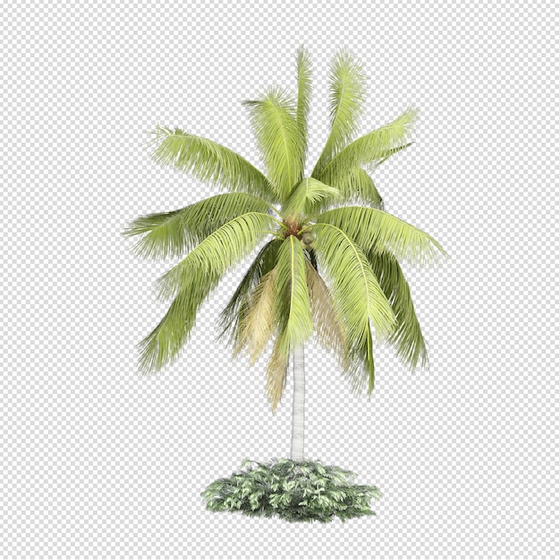 Palmera en representación 3d aislada