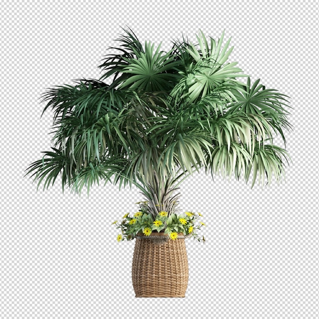 PSD palmera en representación 3d aislada