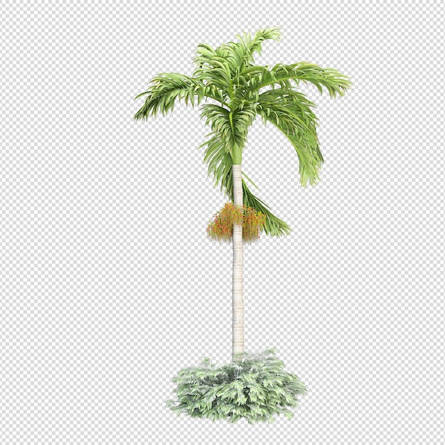 Palmera tropical aislada en renderizado 3d