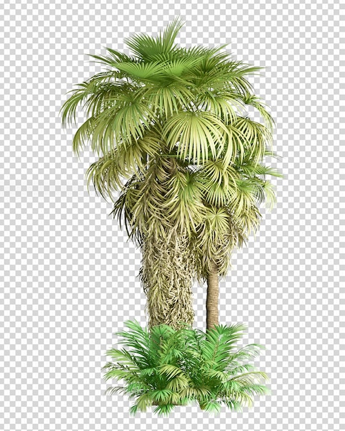 PSD palmera de verano en renderizado 3d