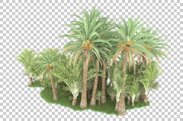 Palmeras sobre un fondo transparente