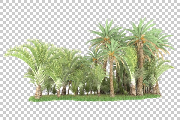 Palmeras sobre un fondo transparente