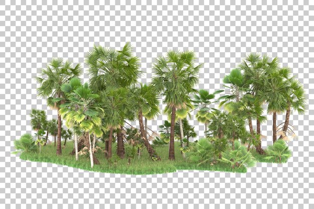 Palmeras sobre un fondo transparente