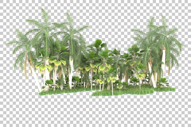 Palmeras sobre un fondo transparente