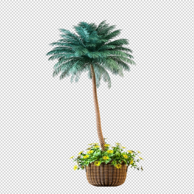 Palmier en rendu 3d isolé
