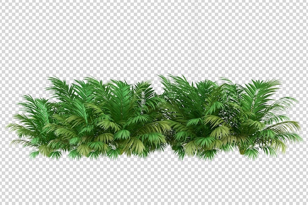 Palmier Tropical En Rendu 3d