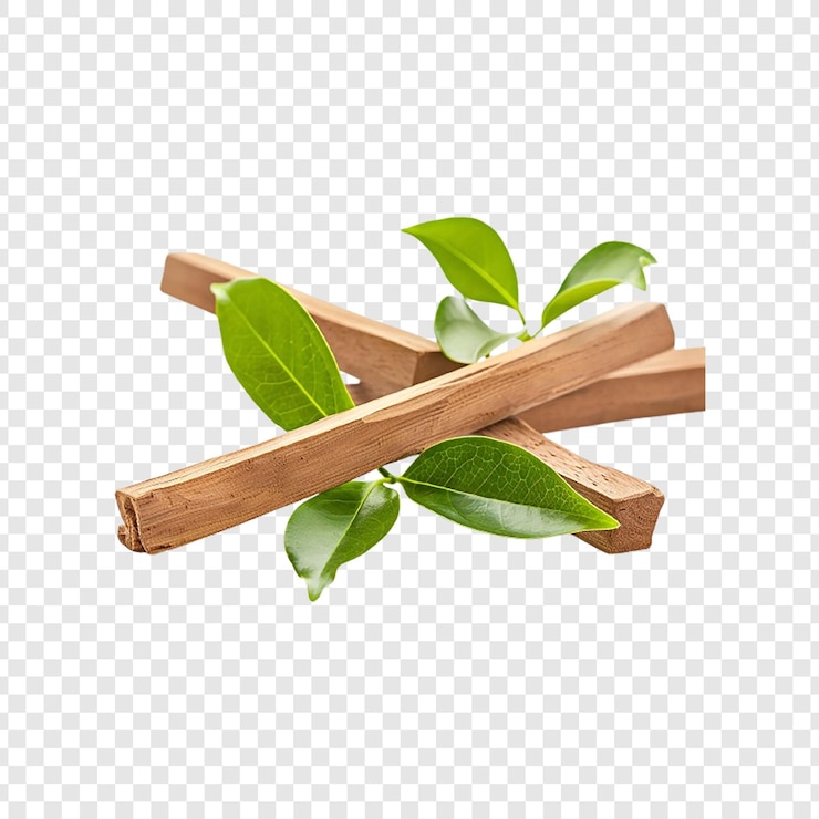 PSD palos de madera con hojas verdes sobre un fondo transparente