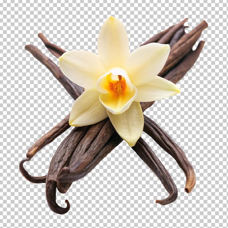 PSD palos de vainilla con flores