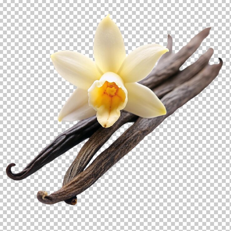 PSD palos de vainilla con flores
