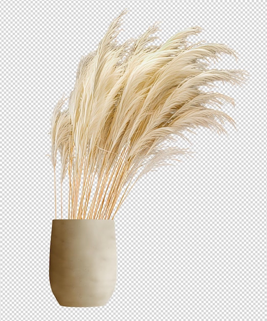 Pampas weizengras png