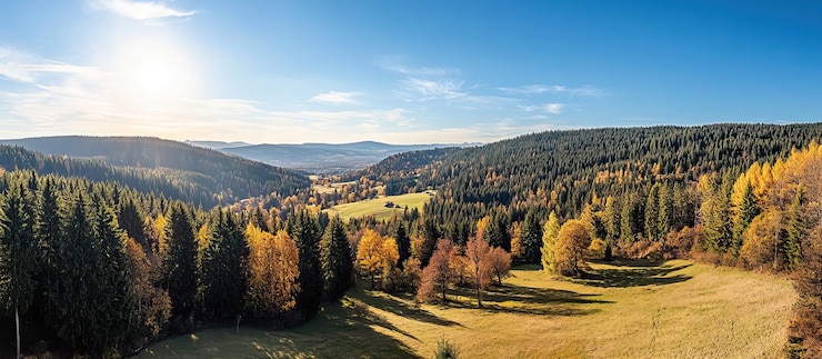 PSD panorama della foresta d'autunno