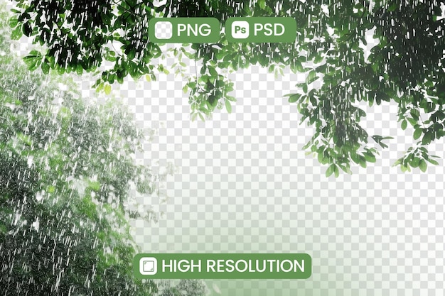 una pantalla con un árbol en el fondo y una imagen de un árbol con un texto p2