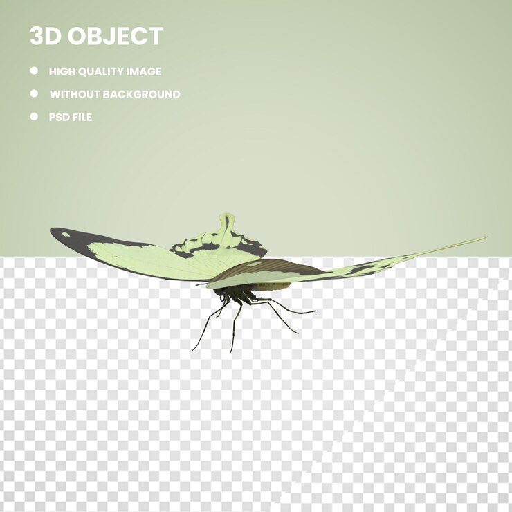 PSD pañuelo de papel 3d mariposa