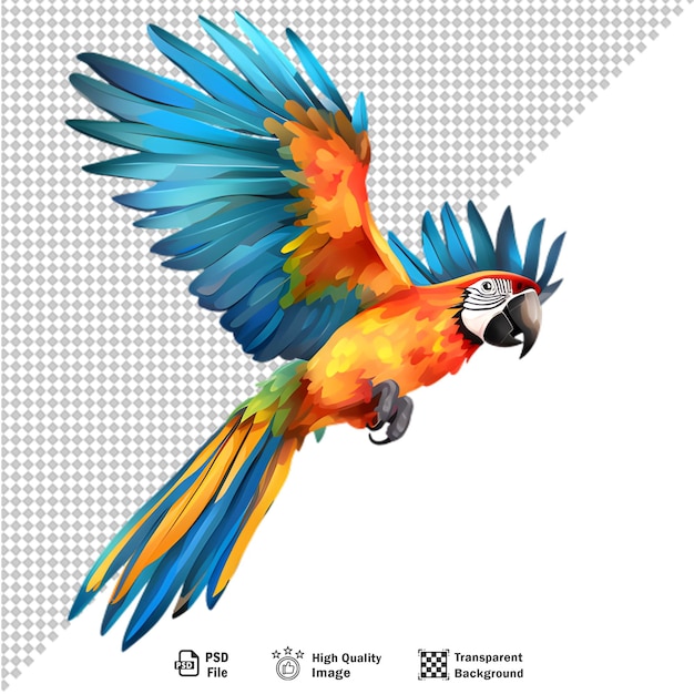 PSD papagaio-ara colorido isolado em fundo transparente