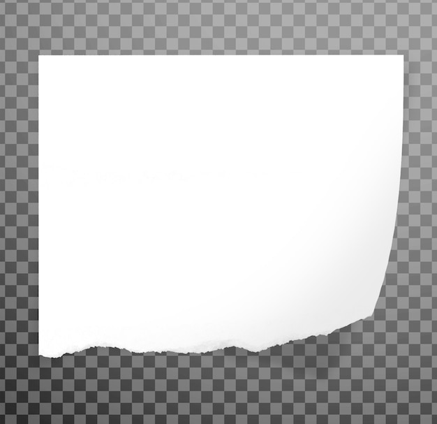 Papel PSD isolado em fundo transparente