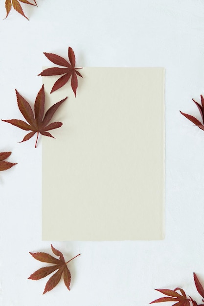 PSD papier kraft vierge avec modèle de feuilles séchées