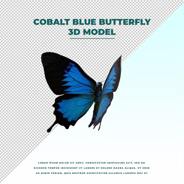 Papillon Bleu Cobalt