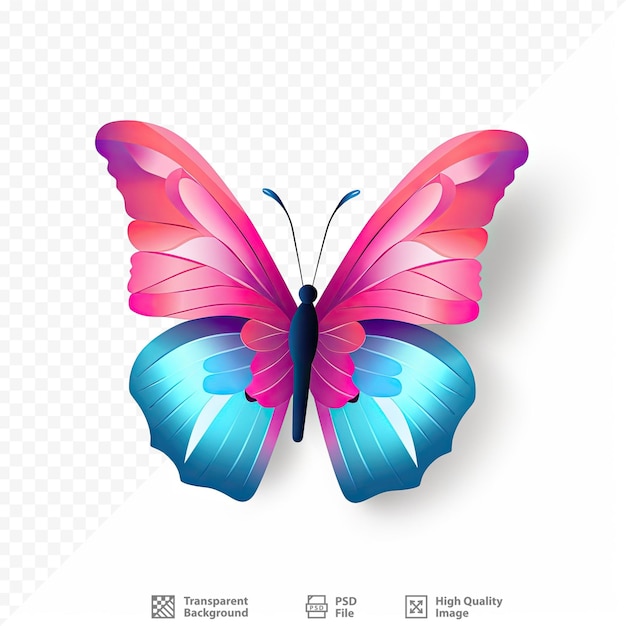 PSD un papillon coloré avec les mots papillon sur le devant.