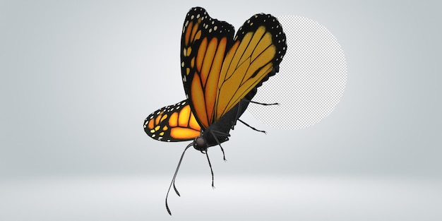 Papillon Isolé Sur Un Fond Transparent