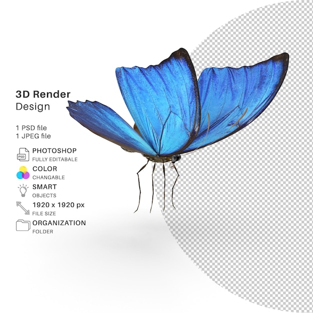 Papillon Modélisation 3d Fichier Psd Papillon Réaliste