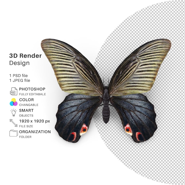Papillon Modélisation 3d Fichier Psd Papillon Réaliste