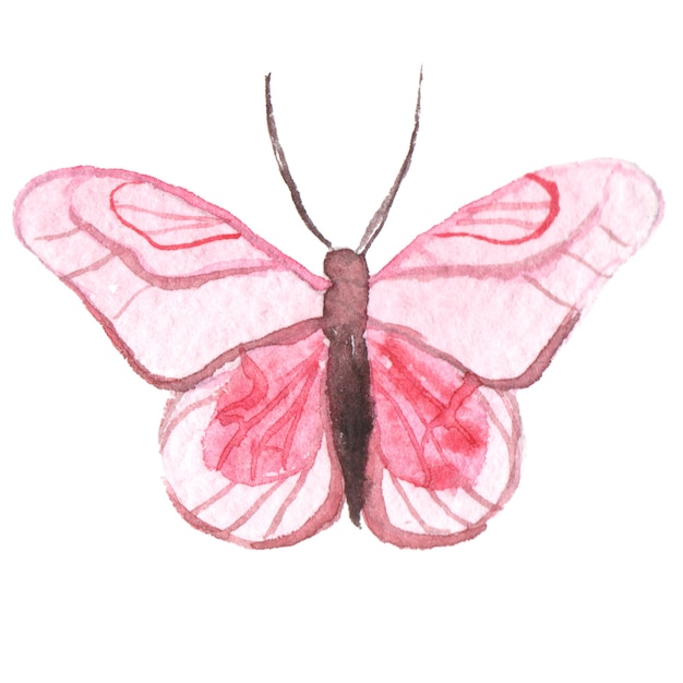 PSD papillon peint à l'aquarelle éléments de conception dessinés à la main isolés sur fond blanc