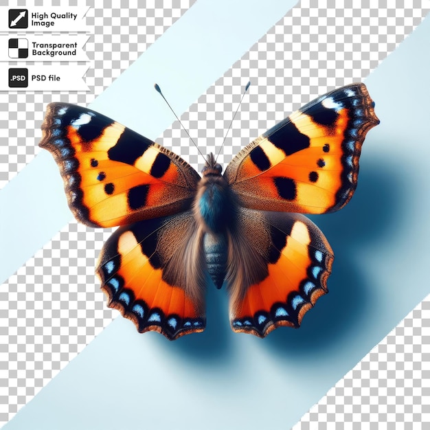 Papillon Psd Sur Fond Transparent