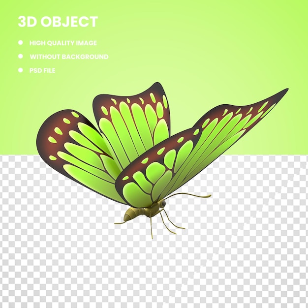 Papillon Vert 3d