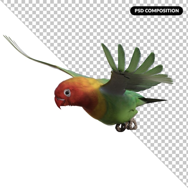 Pappagallo animale uccello isolato rendering 3d