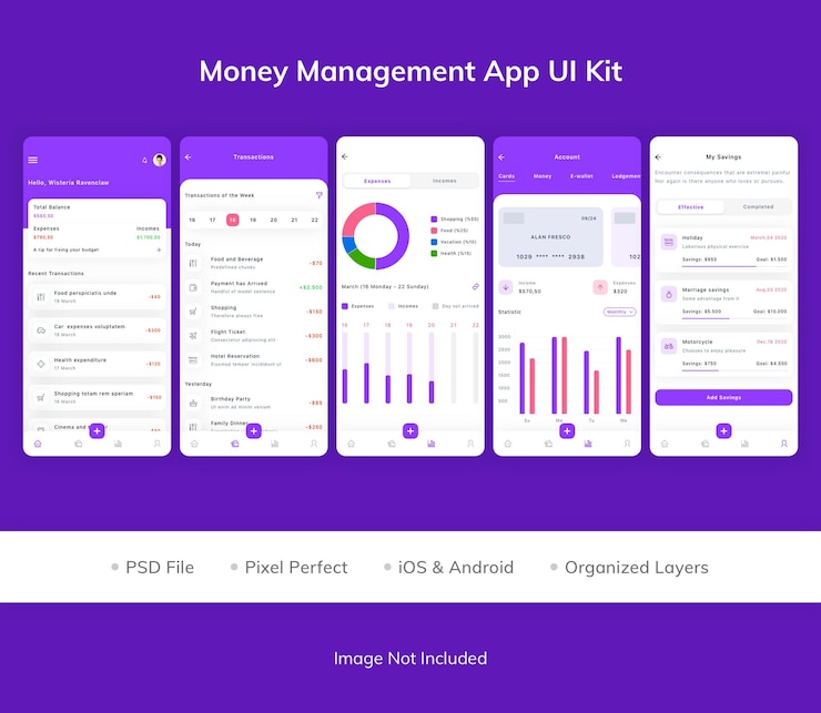 PSD paquete de kit de interfaz de usuario de la aplicación money management